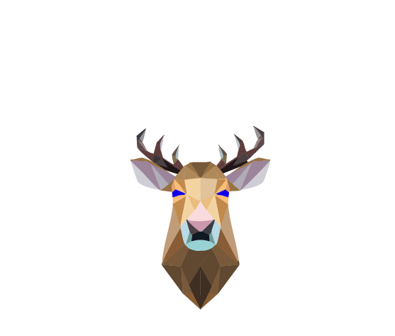 Caribou de face avec des petits bois.