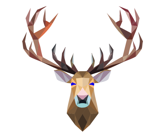 Caribou de face avec des grands bois.